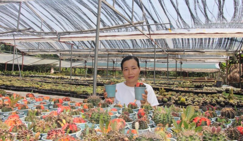 Chị Nhy bên khu vườn xương rồng được gầy dựng từ niềm đam mê
